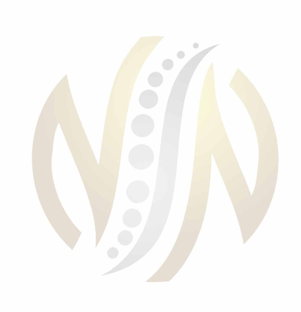 nnspine logo