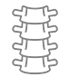 spine image