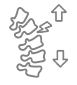 spine pain logo