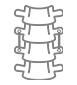 spine logo