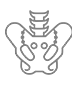 pelvis logo